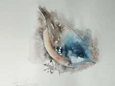 Wren,  Birds, Watercolor artwork, Handmade, Original painting on paper