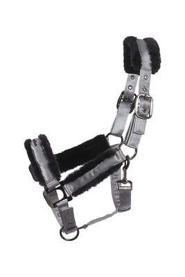 Cavallo JERO Elegantes Halfter silvergrey Horsefashion 2025