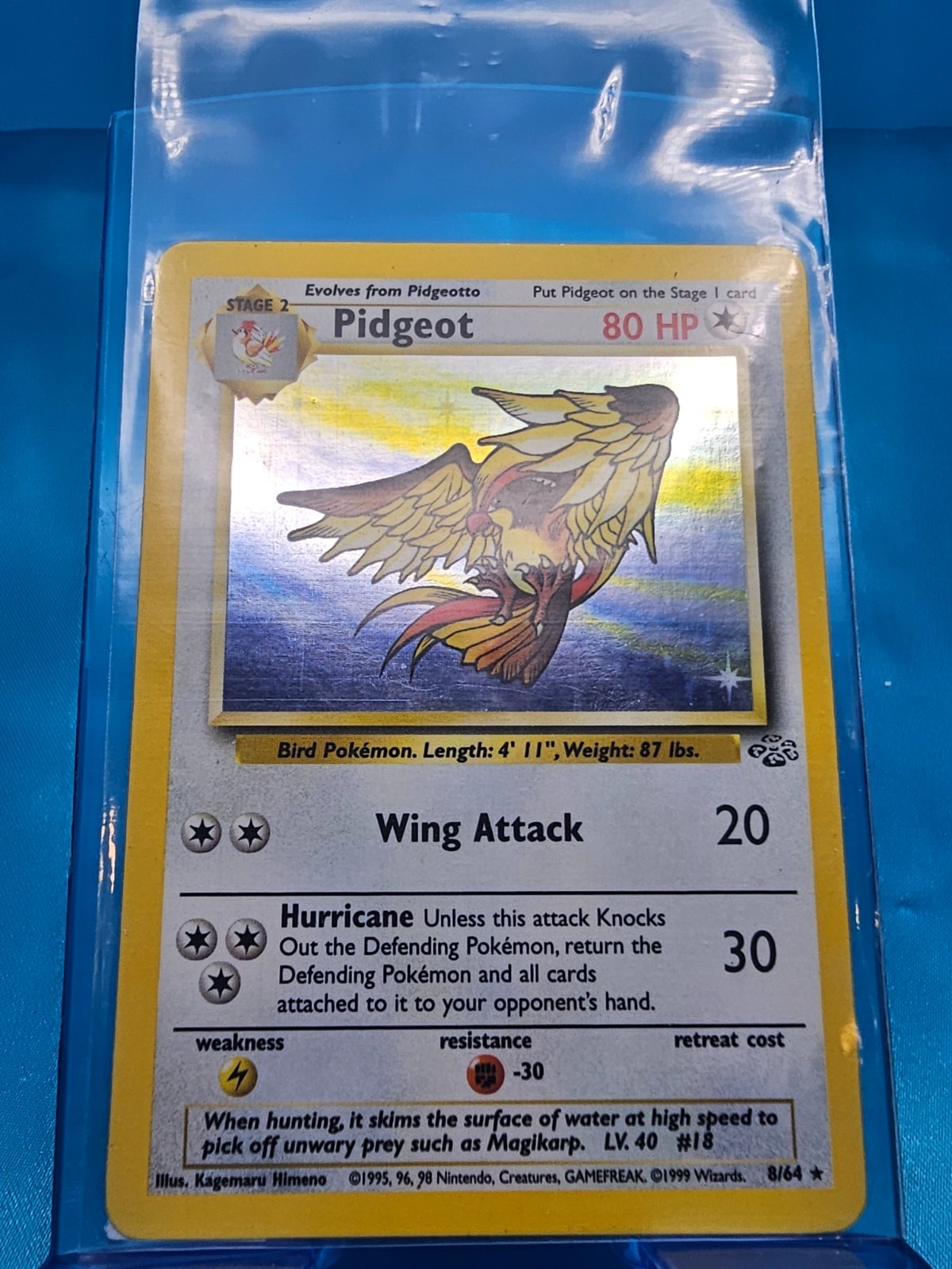 Pidgeot 8/64 NM Holo Jungle Unlimited Rare Pokemon TCG Card
