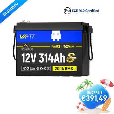 12V 314Ah Mini Super LiFePO4 Batterie Bluetooth Active Balancer für RV Wohnwagen