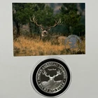 Kilfoil Buck  American Hunting Club Proof Coin 1 Troy Oz .999 Fine Silver Round