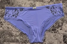 NWT BODY BY VICTORIA'S SECRET XL PERIWINKLE SMOOTH LACE RARE HIPHUGGER PANTIES
