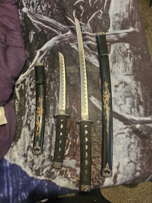 Stainless Steel Duel Katana Set