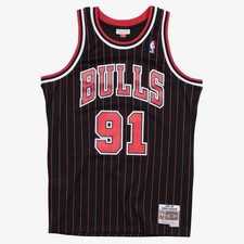 Dennis Rodman Chicago Bulls 1995-96 Black Swingman Player Jersey