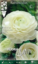 BULBI AUTUNNALI RANUNCOLO RANUNCOLI BIANCO CONFEZIONE DA 10 BULBI