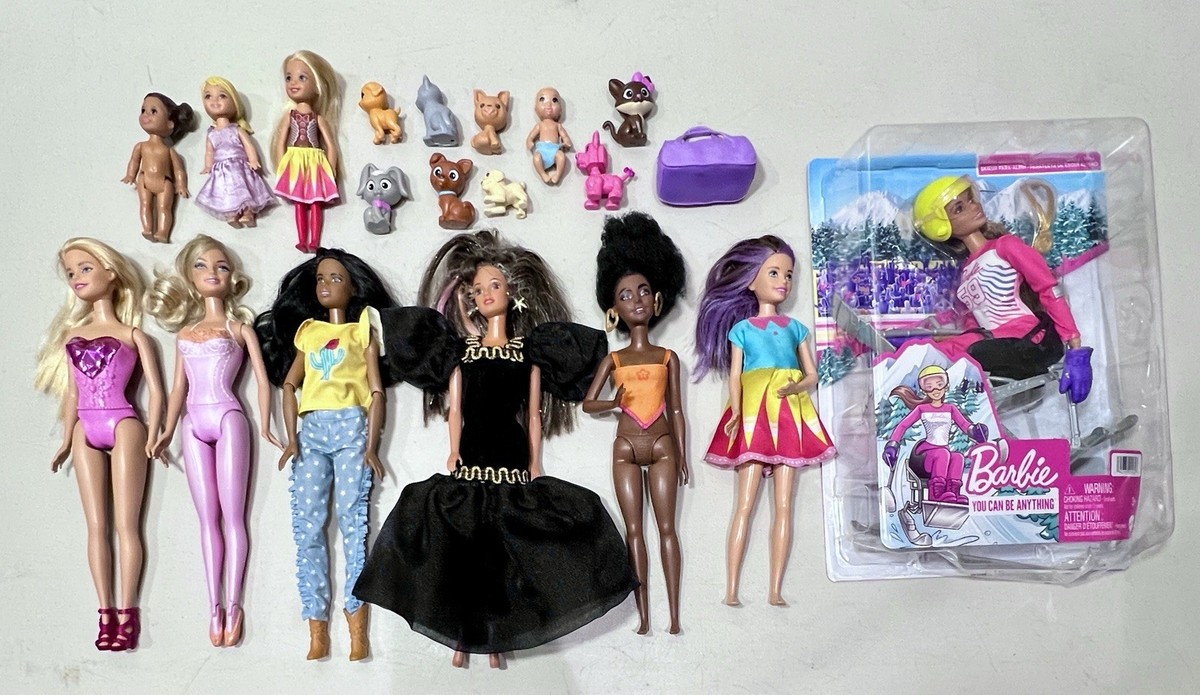 Barbie Dolls Chelsea Little Sister and Baby Pets Para Alpine Skier
