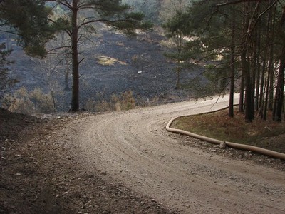 Foto A2 Aschenbereiche Feuer 2015 Pirbright Camp die Umkreisstraße bei Lon c2015