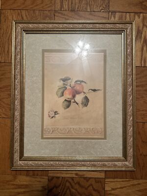 Fabrice De Villeneuve  Apple Framed Print