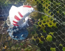 POND SPITTER KOI FISH GARDEN WATER FOUNTAIN FEATURE STATUE 1.5m HOSE NEW &