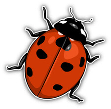 Ladybug Cartoon Car Bumper Sticker Decal 5" x 5"