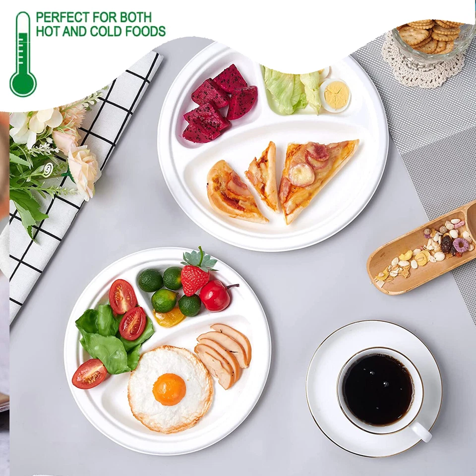 Placa de papel desechable 100 % compostable 3 compartimentos placas de papel de alta resistencia de 10" Foto 3 de 4