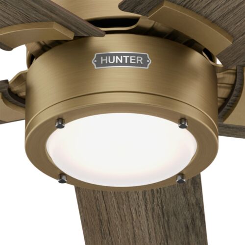 Hunter Fan 52 inch Contemporary Luxe Gold Ceiling Fan with Light Kit and Remote - Picture 4 of 6