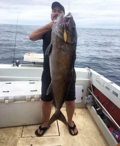 Western Brown 150g DHUBITE Slow Pitch Jig - Jigging Glow Deep Sea Fishing Lure - Imagen 12 de 12