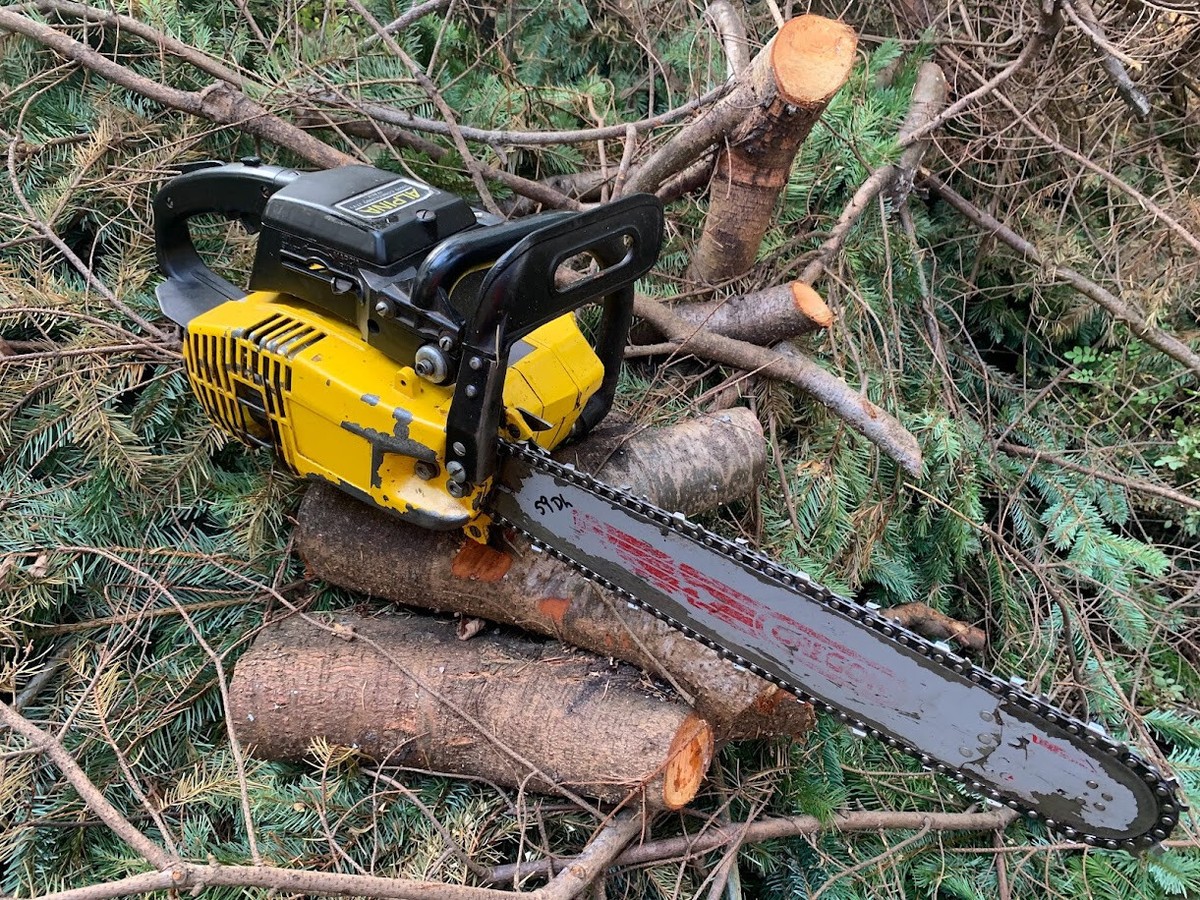 Vintage Alpina Castor GREAT Running Pro Prof 45 45cc Chainsaw & 16