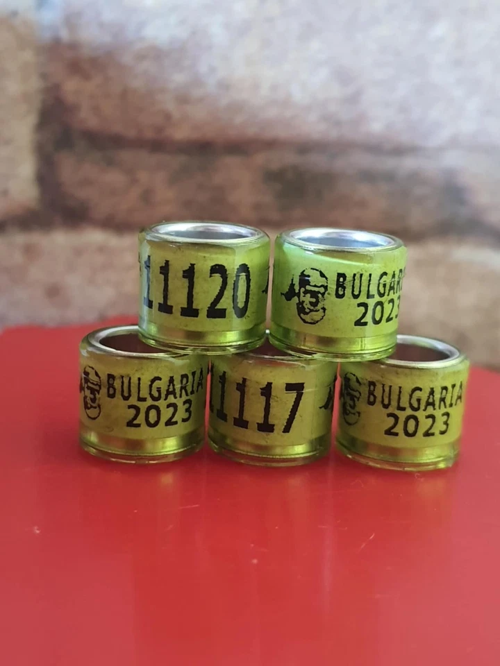 5 Brieftaubenringe 2023 BG Taubenringe FCI Eigentumszertifikat Ring Bulgarien - Bild 2 von 3