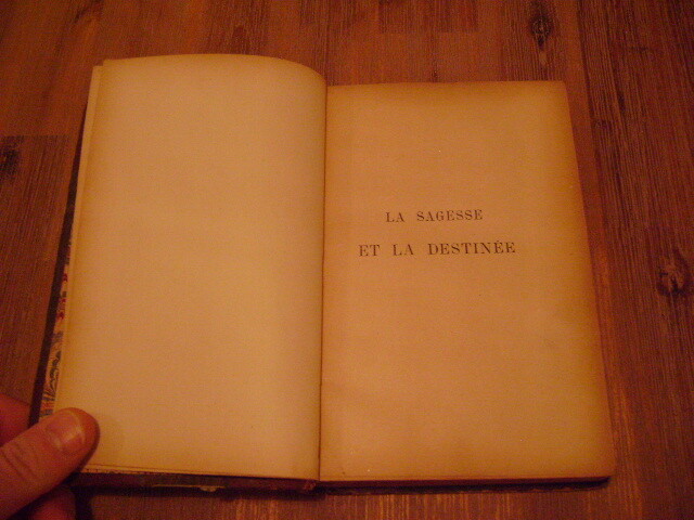 Picture 7 of 12