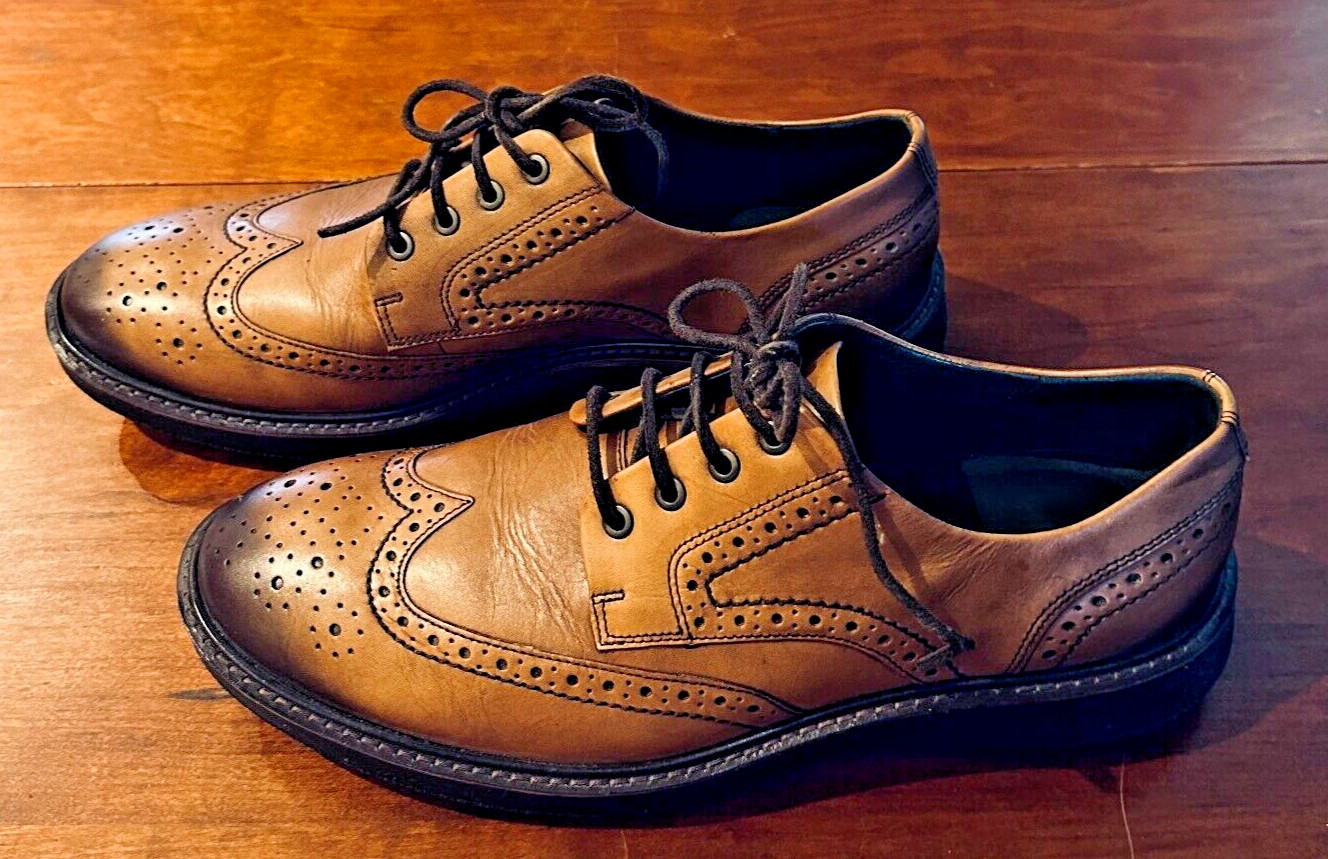 ecco vitrus wingtip