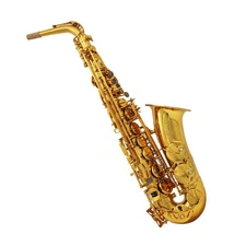 Eastern music pro use Gold lacquer Reference 54 R54 alto saxophone ALTO SAX
