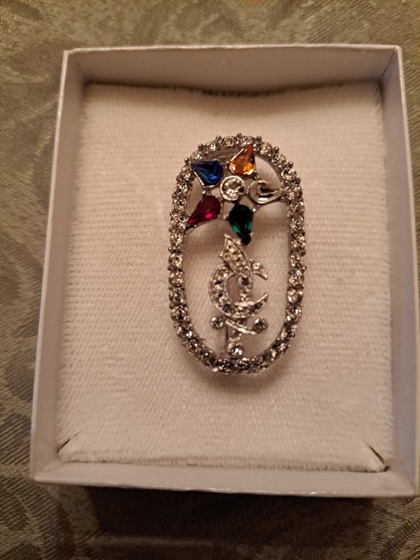 Vintage Rare Mason Masonic Eastern Star Pin Brooch from ORA All Colorful Stones!