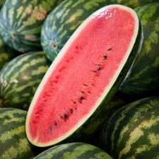 50+ Congo Watermelon Seeds for Garden Planting - USA - FREE SHIPPING!