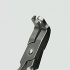 Foto 11 di 12
