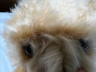 Bild 6 von 6