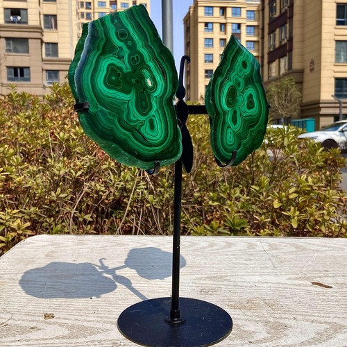 2.68LB Stunning Malachite Wing - Rare Crystal Collectible for Display & Healing - 第 2/13 張圖片