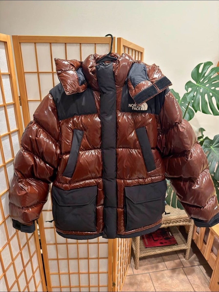Supreme X The North Face 700-Fill Down Parka Mint | eBay
