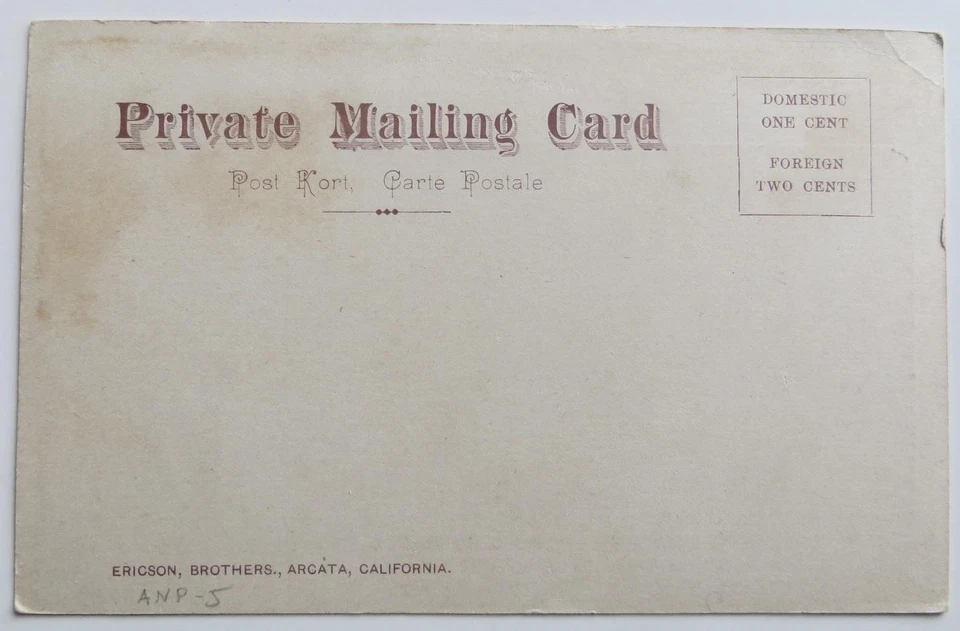 1906 A.W. Ericson " The Undercut" In The California Redwoods Arcata Humboldt Cty - Image 2 of 2