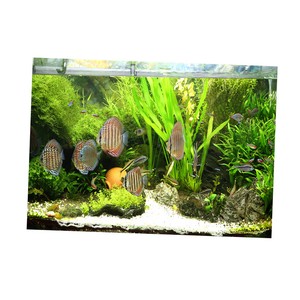 New Pvc Aquarium Background Poster 3d Fish Tank Decoration