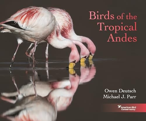 Birds of the Tropical Andes - Image 6