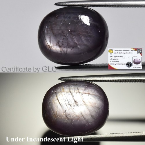 π GLC CERTIFIED* 11.34ct Oval Natural Unheated Purple Red 6 Ray Star Sapphire