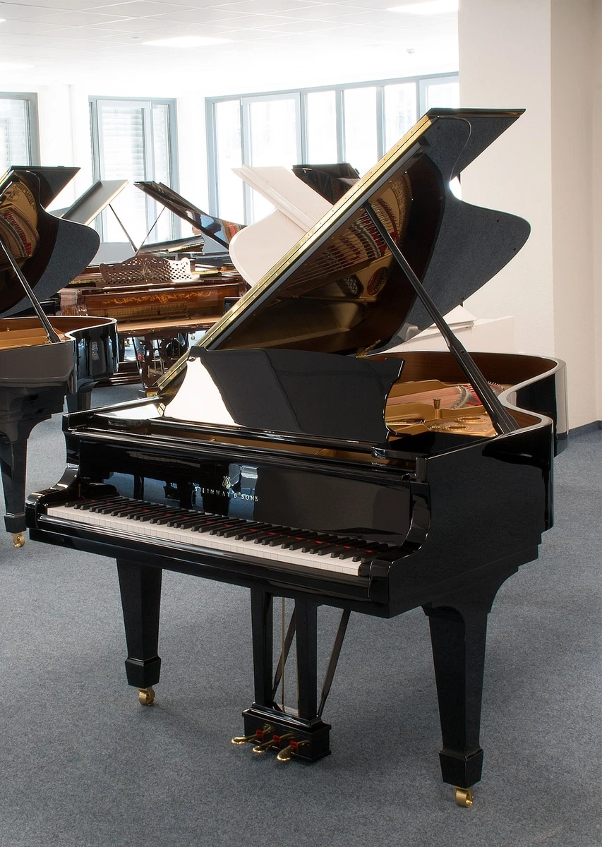 B211 2024 steinway price