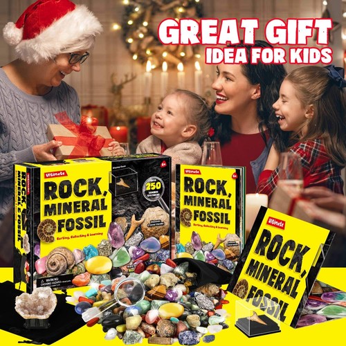 Rocks Minerals & Fossils Collection for Kids 250+ Real Gemstones and Crystals & - Picture 5 of 6