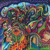 Vinile - Al Lover - Cosmic Joke (Transparent Green Vinyl) - Fuzz Club Records -