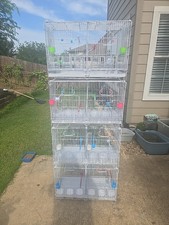Bird Breeding Cage With Divider Count 4
