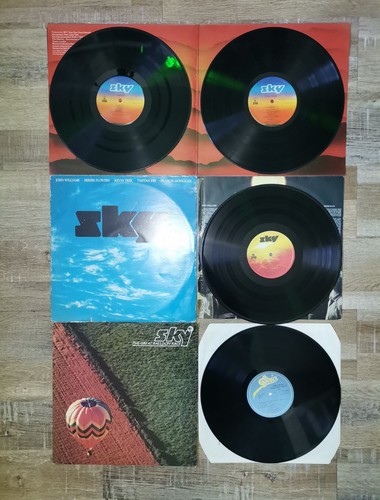 FOLK ROCK POP RECORD COLLECTION JOB LOT OF 20 x LP 12" VINYL BUNDLE - Picture 5 of 13