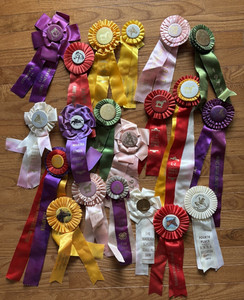 Lot of 20 Horse & Pony Show Ribbons Rosettes Equestrian Virginia Clubs 1970's