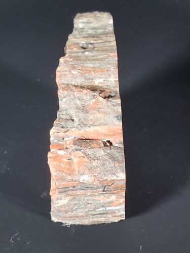 Petrified Wood Bookends Red & Black - Picture 4 of 11