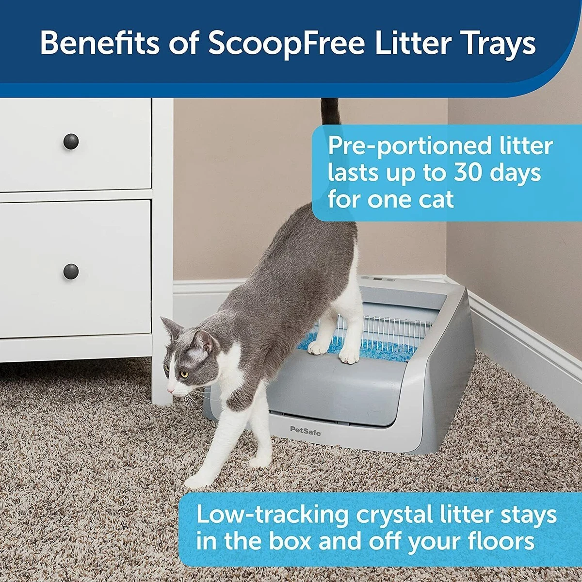 Litter free top litter box