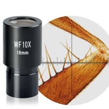 10X 23.2mm Widefield Eyepiece Reticle 0.1mm for Compound Biological Microscope
