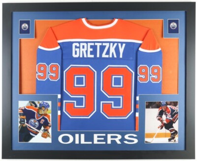 Wayne Gretzky Edmonton Oilers 35x43 Framed Jersey / 894 NHL Goals