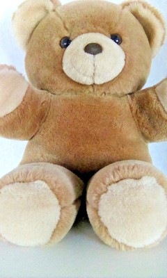 cuddle wit bear