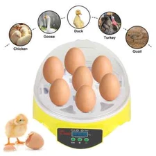 Adjustable Digital Temperature for Chicken, Duck,Bird and Pigeon Farm Hatcheries