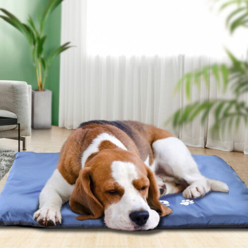 Personalizzato Letto per Cani Gatti Cuccia lettino Cuscino Impermeabile S M L XL - Picture 10 of 15