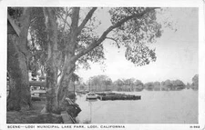 Lodi California Municipal Lake Park Scenic River Vintage Postcard K19273