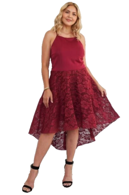 FTF Women's Plus Size Cabernet Square Neckline Hi-low Floral Lace Maxi Dress  2x | eBay