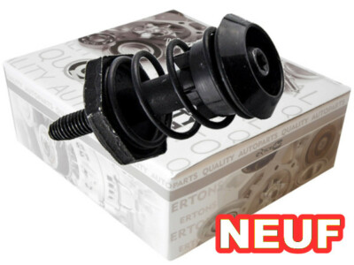 2 Verins De Coffre Compatibles Pour Grand Scenic 4 (2016-2023) Vérins De Hayon | 904502954R, 904506721R, 904509420R