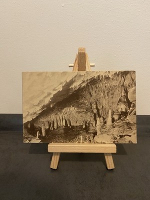 Vintage postcard Hermannshöhle near Rübeland, the forest, landscapes, nature
