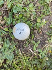 titleist pro v1 golf ball (scratched)